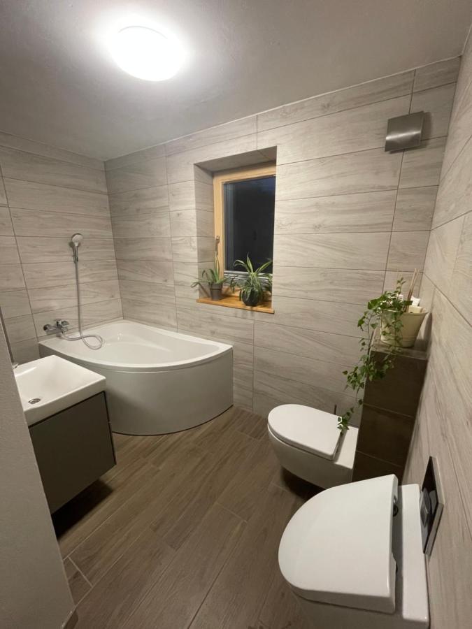 Apartma Slatina Apartman Smartno ob Paki Kültér fotó